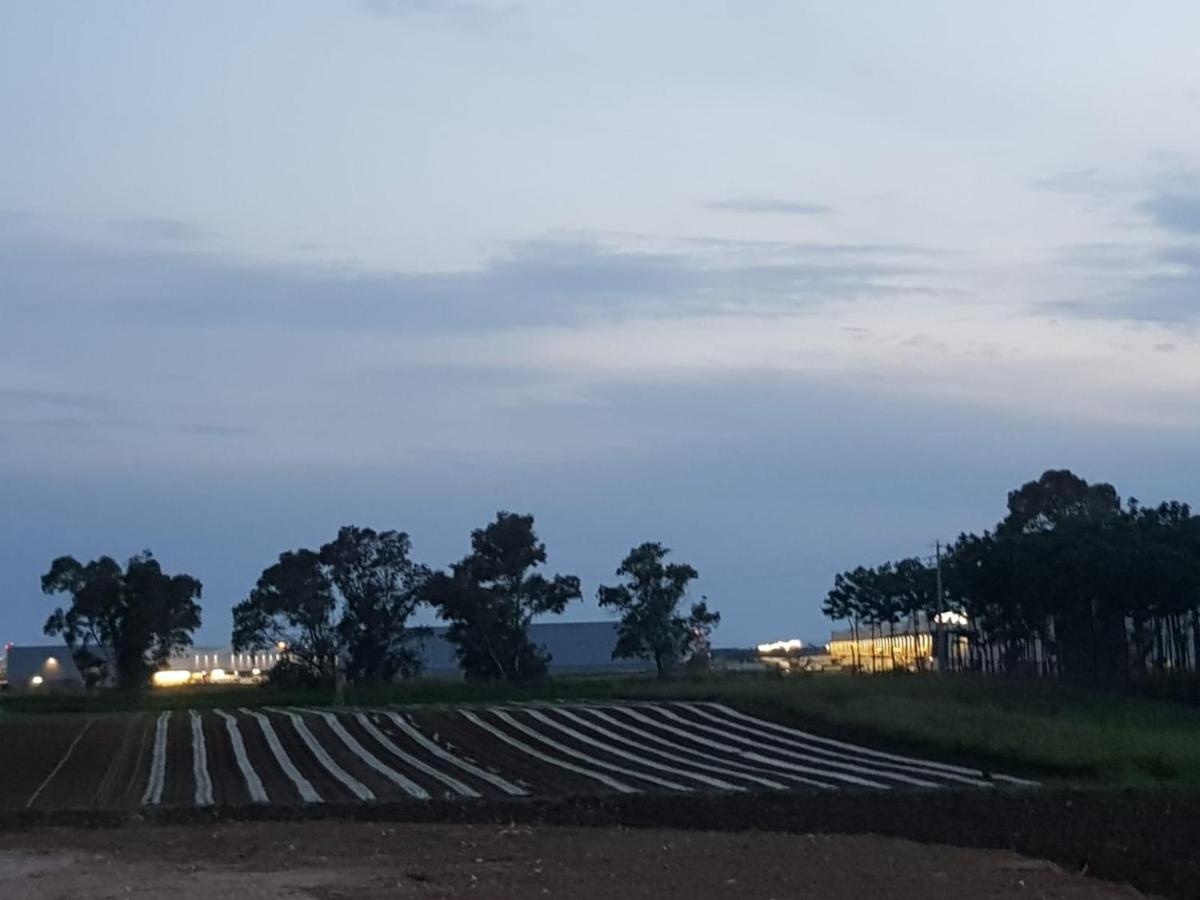 Agriturismo Il Casale 蓬特加莱里亚 外观 照片