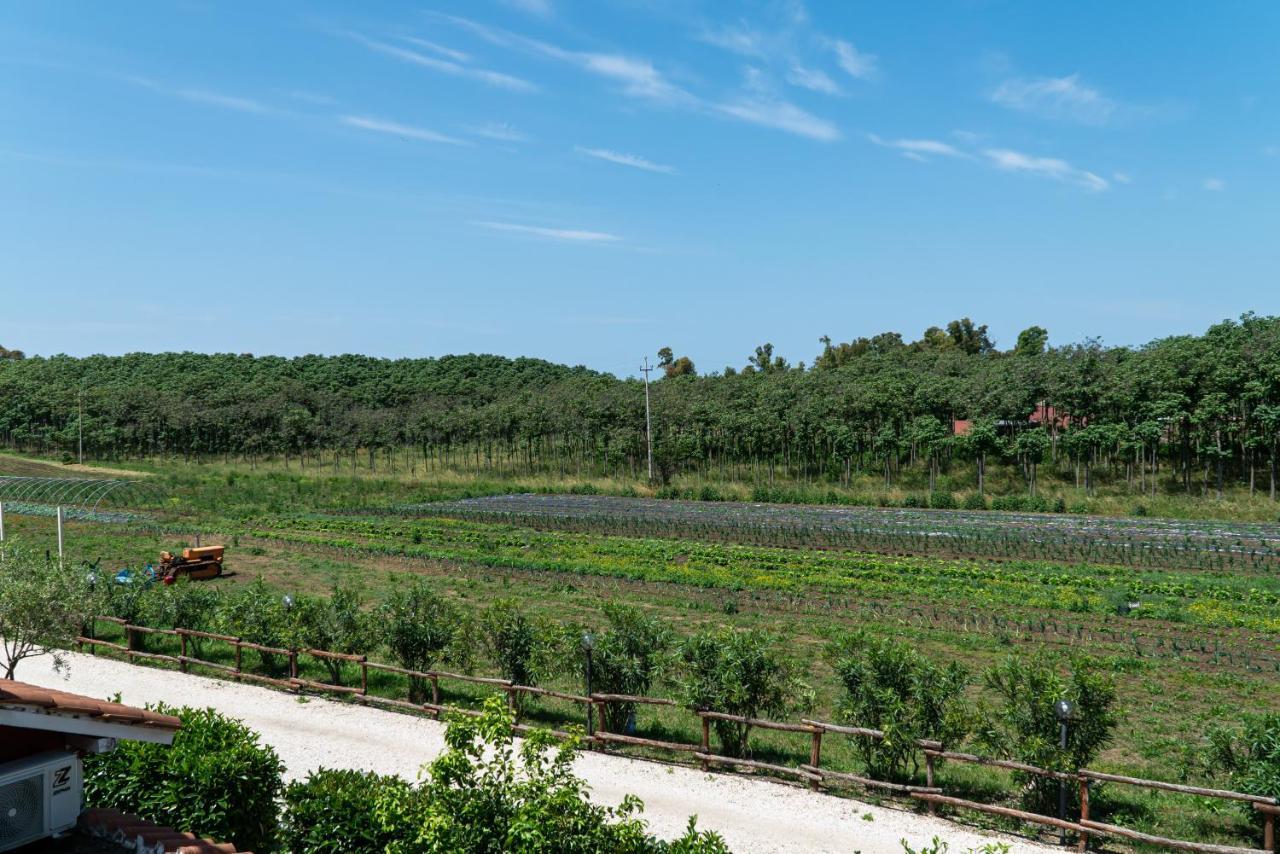 Agriturismo Il Casale 蓬特加莱里亚 外观 照片